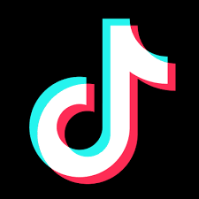 Tik Tok Video 1000  Likes